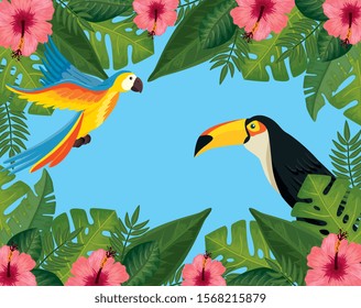 tropical summer sale with frame of flowers and animals exotics vector illustration design