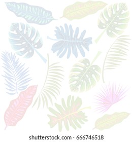 Tropical summer seamless pattern with leaves (coconut palm, fan palm, banana), floral background print, vector illustration