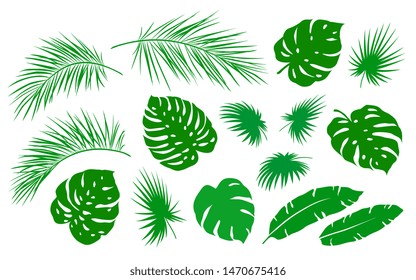 tropical summer set of isolated green palm leaf branch on white background