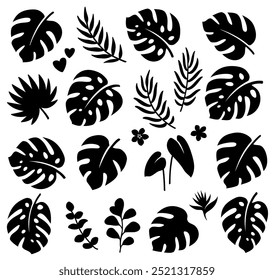Tropical summer set palm, monstera leaves, eucalyptus branches
