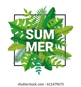 Tropical summer time background