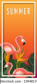 Tropical and summer time background Template design. Vector illustration.