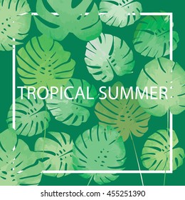 Tropical summer typographical background with philodendron leaves. Philodendron leaves with typography vector. 