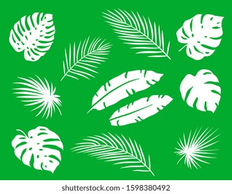 tropical summerset of abstract palm leaf branch silhouettes on green background