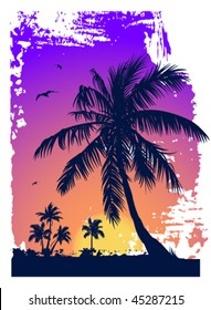 Tropical sunset