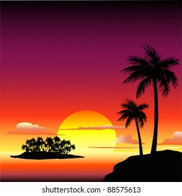 Tropical sunset