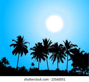 Tropical sunset, palm tree silhouette