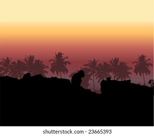 Tropical sunset, palm tree silhouette