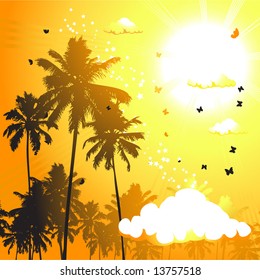 Tropical sunset, palm trees