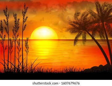 A Tropical Sunset with Palm Trees
