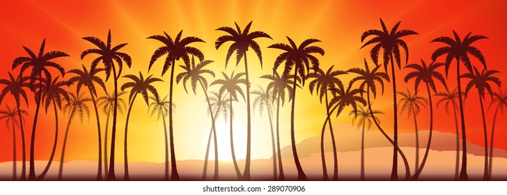 Tropical sunset with palm trees, vector background