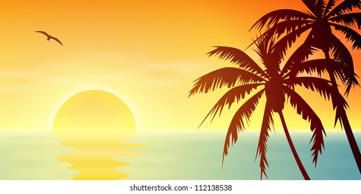 A Tropical Sunset, Sunrise with Palm Trees