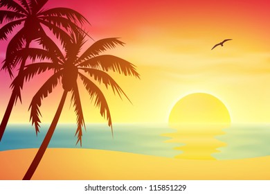 A Tropical Sunset, Sunrise with Palm Trees