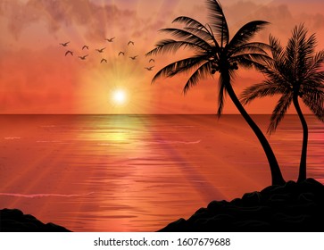 A Tropical Sunset or Sunrise with Palm Trees