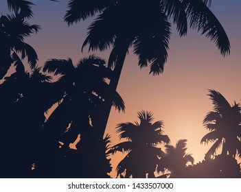 Tropical sunset vector background with palm trees silhouette and sun.