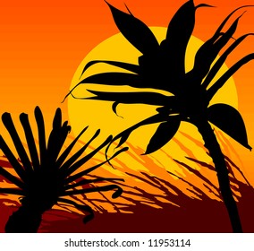 Tropical Sunset Vector Illustration