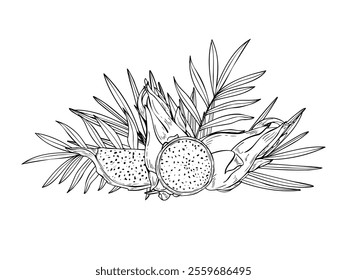 Tropical sweet pitahaya dragon fruits and tropical leaves graphic composition painted by black inks. Fruit slices, foliage vector etching drawing. Food ingredient for summer dessert recipes.