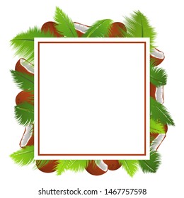 Tropical template banner with palm leaves and coconuts a frame. Vector realistic illustration.Poster whole and broken nut. Website banner concept.