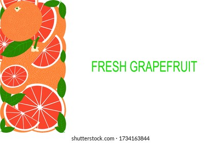 Plantilla tropical con pomelo rojo. Fondo o fondo de fondo de fruta vectorial.
