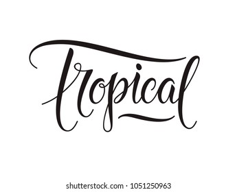 Tropical text and vintage label. Calligraphic design elements for tropical spa, resort, vacation, party emblems. Logo design isolated on white background. Vector illustration. EPS 10.
