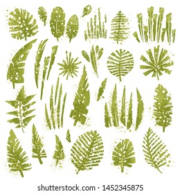 Tropical textured leaves set with expressive watercolor splashes and grunge texture. Isolated elements collection on the white background. Vector tropical palm and jungle leaves, split leaf