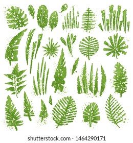Tropical textured leaves set with expressive watercolor splashes and grunge texture. Isolated elements collection on the white background. Vector tropical palm and jungle leaves, split leaf