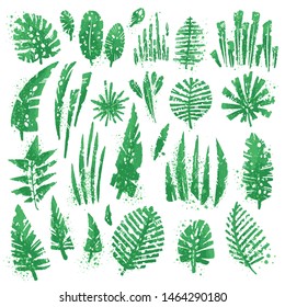 Tropical textured leaves set with expressive watercolor splashes and grunge texture. Isolated elements collection on the white background. Vector tropical palm and jungle leaves, split leaf