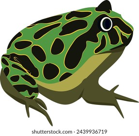 Tropical toad. Colorful spot amphibia. Wild species svg