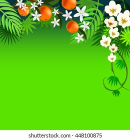 Tropical top border background with palm leaves and other plants and flowers that grow in the jungle.