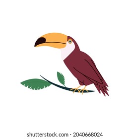 Tropical toucan cartoon character with large colourful yellow beak, flat vector illustration isolated on white background. Exotic tropical bird cartoon icon.