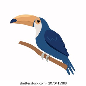 tropical toucan sitting on a branch. Vector illustration isolated on background