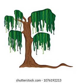 tropical tree with branches leaves style
