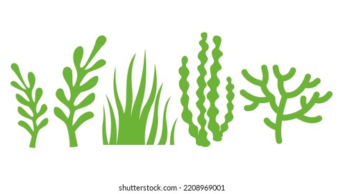 Tropical tree branches vector illustration isolated on white background