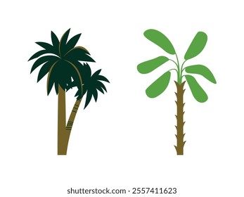 Tropical Tree Design Illustration Duo