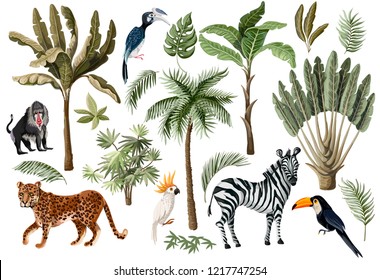 Tropical Tree Elements Such As Palm, Banana And Jungle Animals Isolated. 