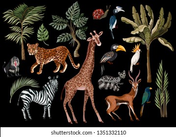 Tropical tree elements such as palm, monstera and jungle animals isolated. 