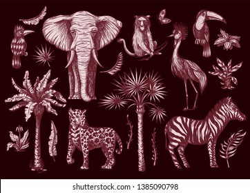 Tropical tree graphic elements such as palm, banana and jungle animals isolated. 