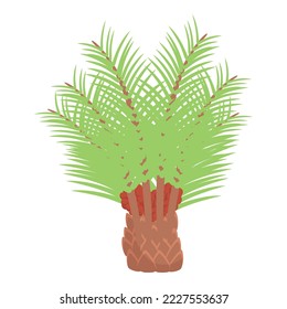 Tropical tree icon cartoon vector. Oil food. Leaf drop