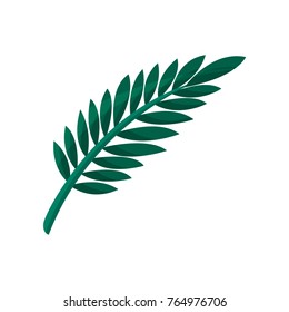 Tropical tree leaf vector Illustration