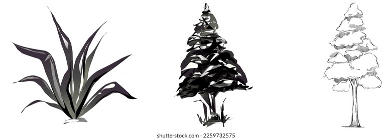 Tropical tree with leaves, black silhouettes isolated on white background. Vector