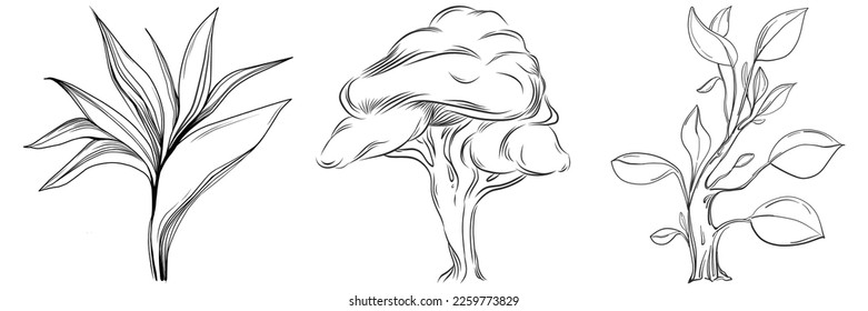 Tropical tree with leaves, black silhouettes isolated on white background. Vector