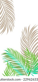 tropical tree leaves on white background