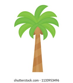 
Tropical tree with leaves shaped like a hand showing palm tree

