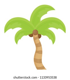 
Tropical tree with leaves shaped like a hand showing date palm 
