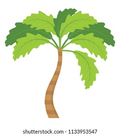 
Tropical tree with leaves shaped like a hand showing palm tree
