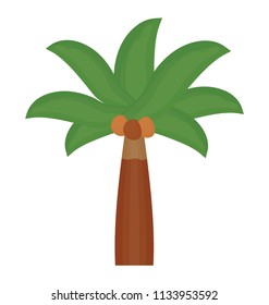 
Tropical tree with leaves shaped like a hand showing date palm 

