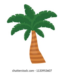 
Tropical tree with leaves shaped like a hand showing palm tree
