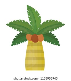 
Tropical tree with leaves shaped like a hand showing palm tree
