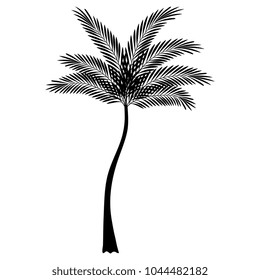 tropical tree palm icon