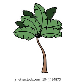 tropical tree palm icon